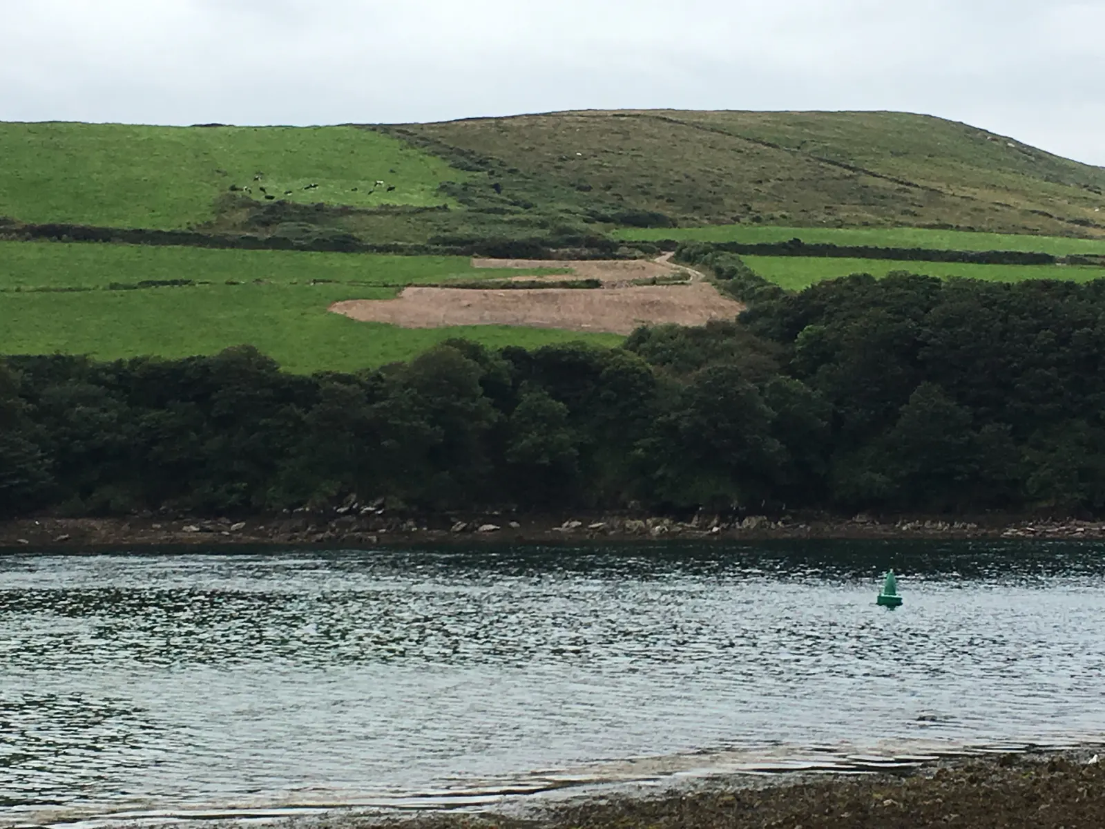 The Dingle